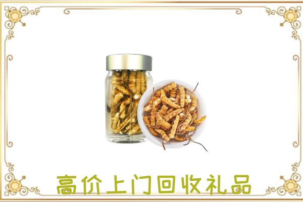 呼和浩特周边回收虫草